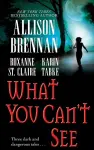 What You Can't See cover