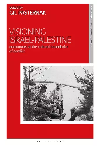 Visioning Israel-Palestine cover