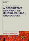 A Descriptive Grammar of Hindko, Panjabi, and Saraiki cover