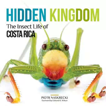 Hidden Kingdom cover