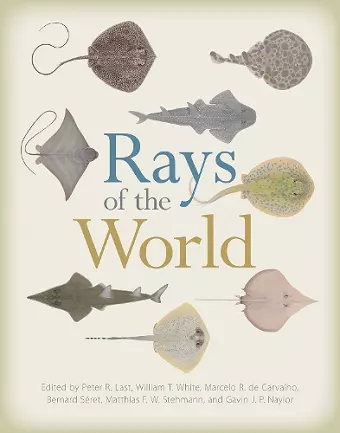 Rays of the World cover