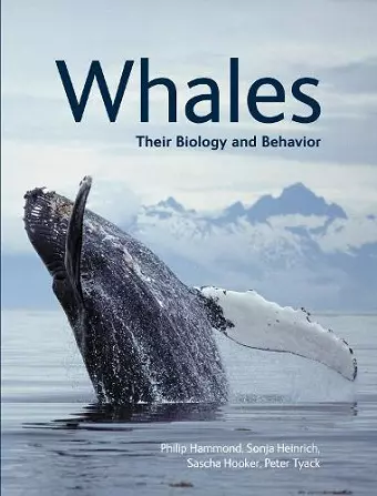 Whales cover