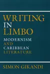 Writing in Limbo cover