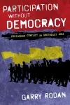 Participation without Democracy cover