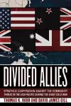 Divided Allies cover