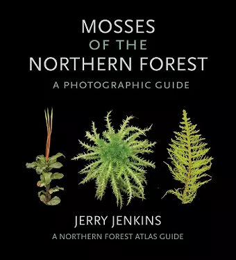 Mosses of the Northern Forest cover