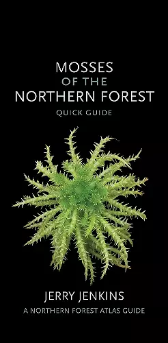 Mosses of the Northern Forest cover