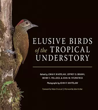 Elusive Birds of the Tropical Understory cover