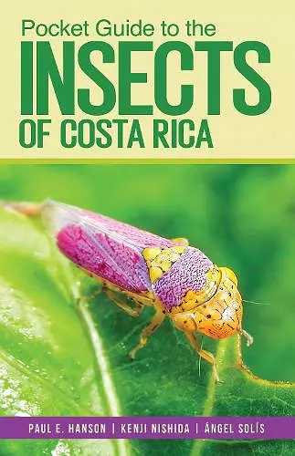 Pocket Guide to the Insects of Costa Rica cover