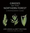 Grasses of the Northern Forest cover