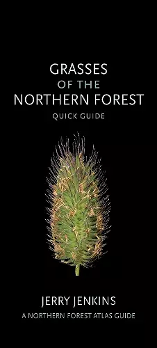 Grasses of the Northern Forest cover