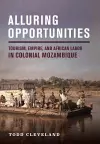 Alluring Opportunities cover