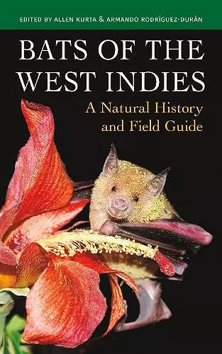 Bats of the West Indies cover