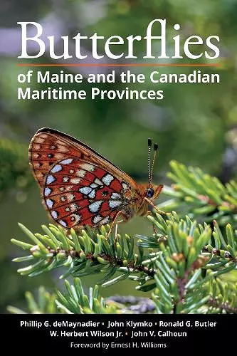 Butterflies of Maine and the Canadian Maritime Provinces cover