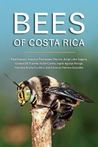 Bees of Costa Rica cover