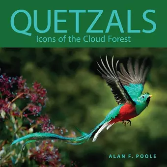Quetzals cover