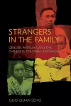 Strangers in the Family cover