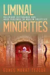 Liminal Minorities cover