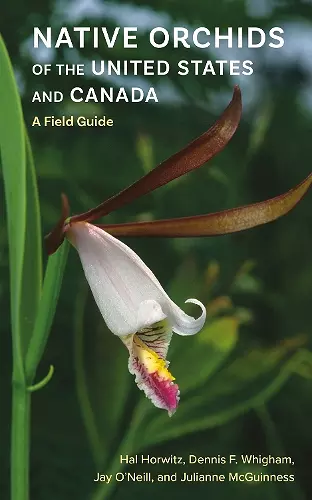 Native Orchids of the United States and Canada cover