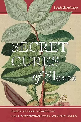 Secret Cures of Slaves cover