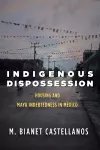 Indigenous Dispossession cover