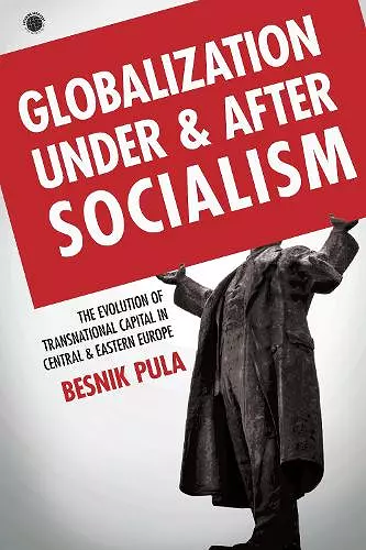 Globalization Under and After Socialism cover