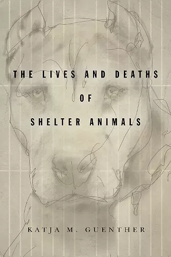 The Lives and Deaths of Shelter Animals cover