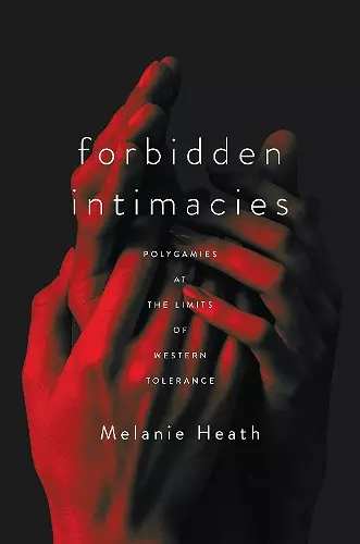 Forbidden Intimacies cover