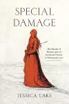 Special Damage cover