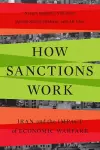 How Sanctions Work cover