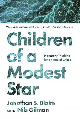 Children of a Modest Star cover