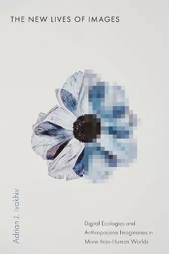 The New Lives of Images cover
