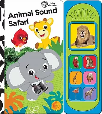 Baby Einstein: Animal Sound Safari cover