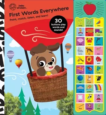 Baby Einstein First Words Sound Book cover