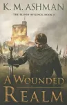A Wounded Realm packaging
