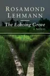 The Echoing Grove cover