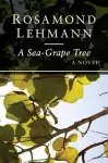 A Sea-Grape Tree cover