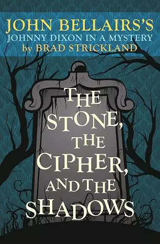 The Stone, the Cipher, and the Shadows cover