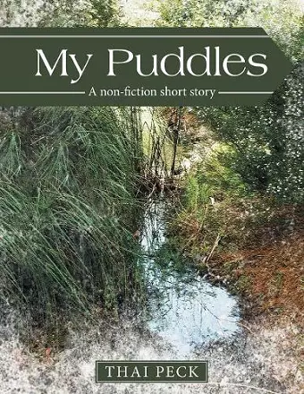 My Puddles cover