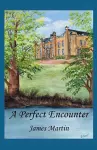 A Perfect Encounter cover