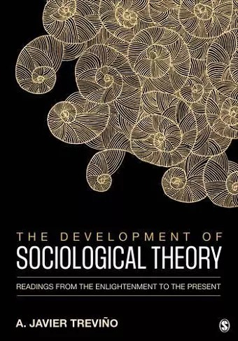 The Development of Sociological Theory cover