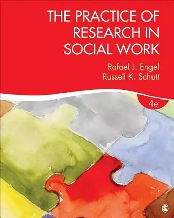 The Practice of Research in Social Work cover