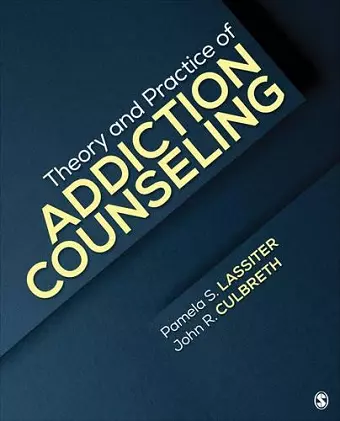 Theory and Practice of Addiction Counseling cover