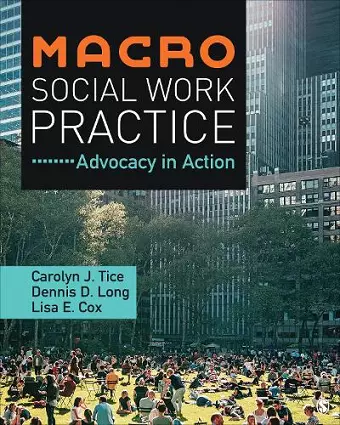 Macro Social Work Practice cover