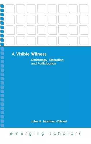 A Visible Witness cover