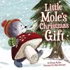 Little Mole's Little Gift cover