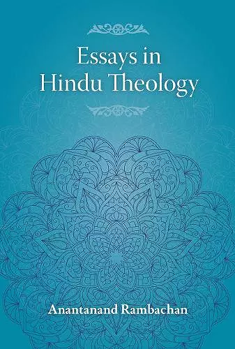 Essays in Hindu Theology cover