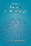 Essays in Hindu Theology cover