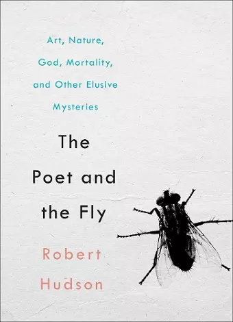 The Poet and the Fly cover