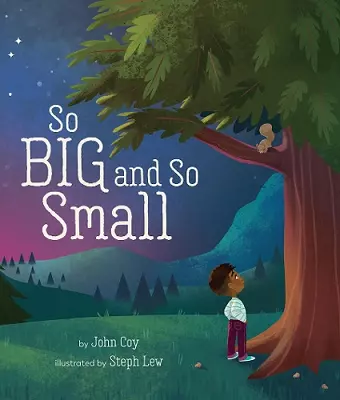 So Big and So Small cover